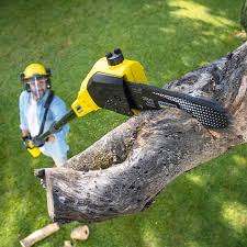 Best Lawn Edging  in Wailuku, HI